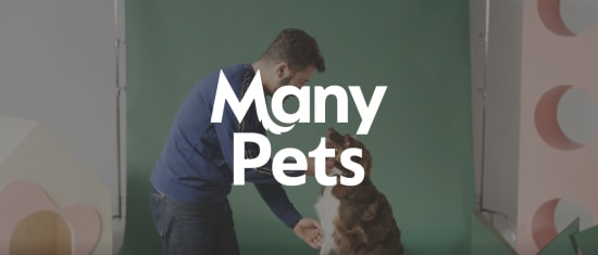 ManyPets, person interacting with a dog in a colorful studio setting with a green backdrop and playful shapes.
