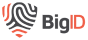 bigid logo, data privacy symbol