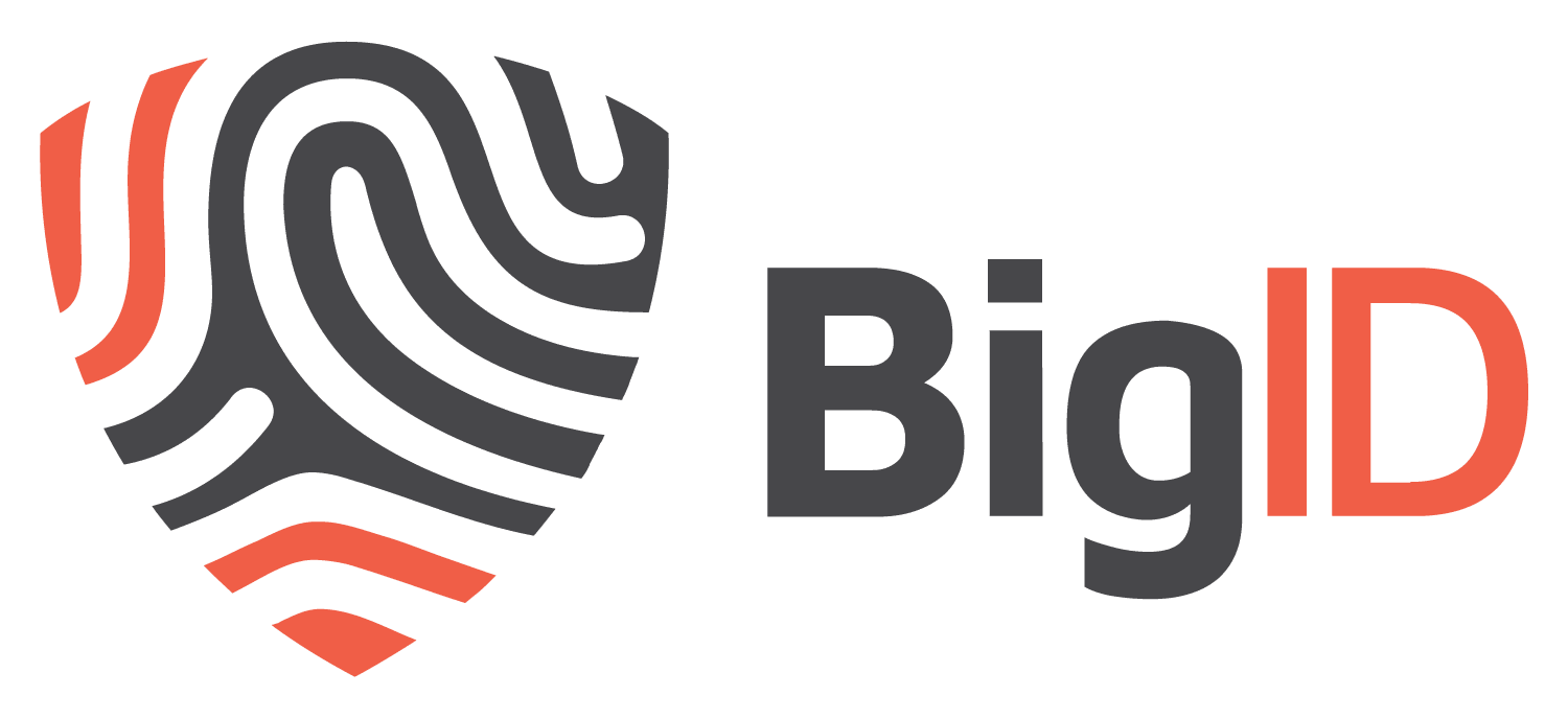 abstract pattern logo, BigID brand identity design