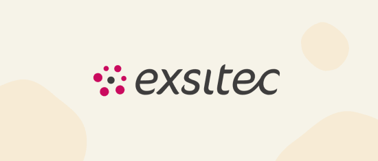 exsitec-logo-on-soft-background, branding-elements-in-modern-design