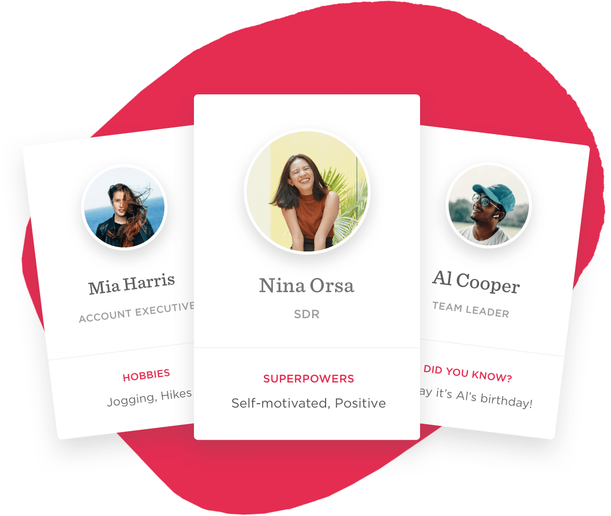 Mia Harris, Nina Orsa, and Al Cooper's profiles highlight roles, hobbies, and fun facts., Team profiles with images, roles, and hobbies showcased.