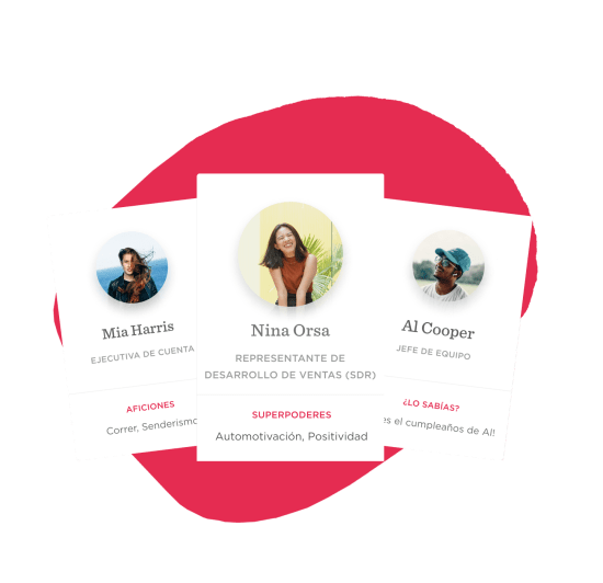 profile-cards, team-members