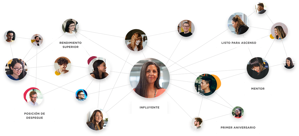 influencer, team-connection-visualization
