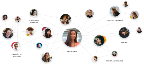 influencer, team-connection-visualization