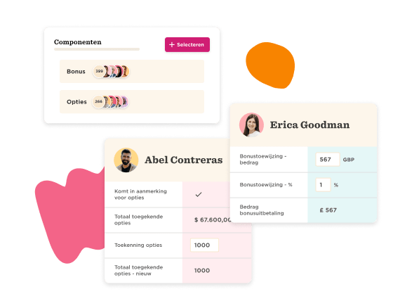 Compensatiebeheer met HiBob - Simple-bonus-and-equity-allocation-9.png